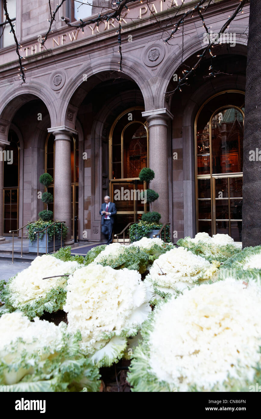 USA, New York City, Manhattan, Midtown, Eingang des New York Palace Hotel, 455 Madison Avenue und 51th street Stockfoto