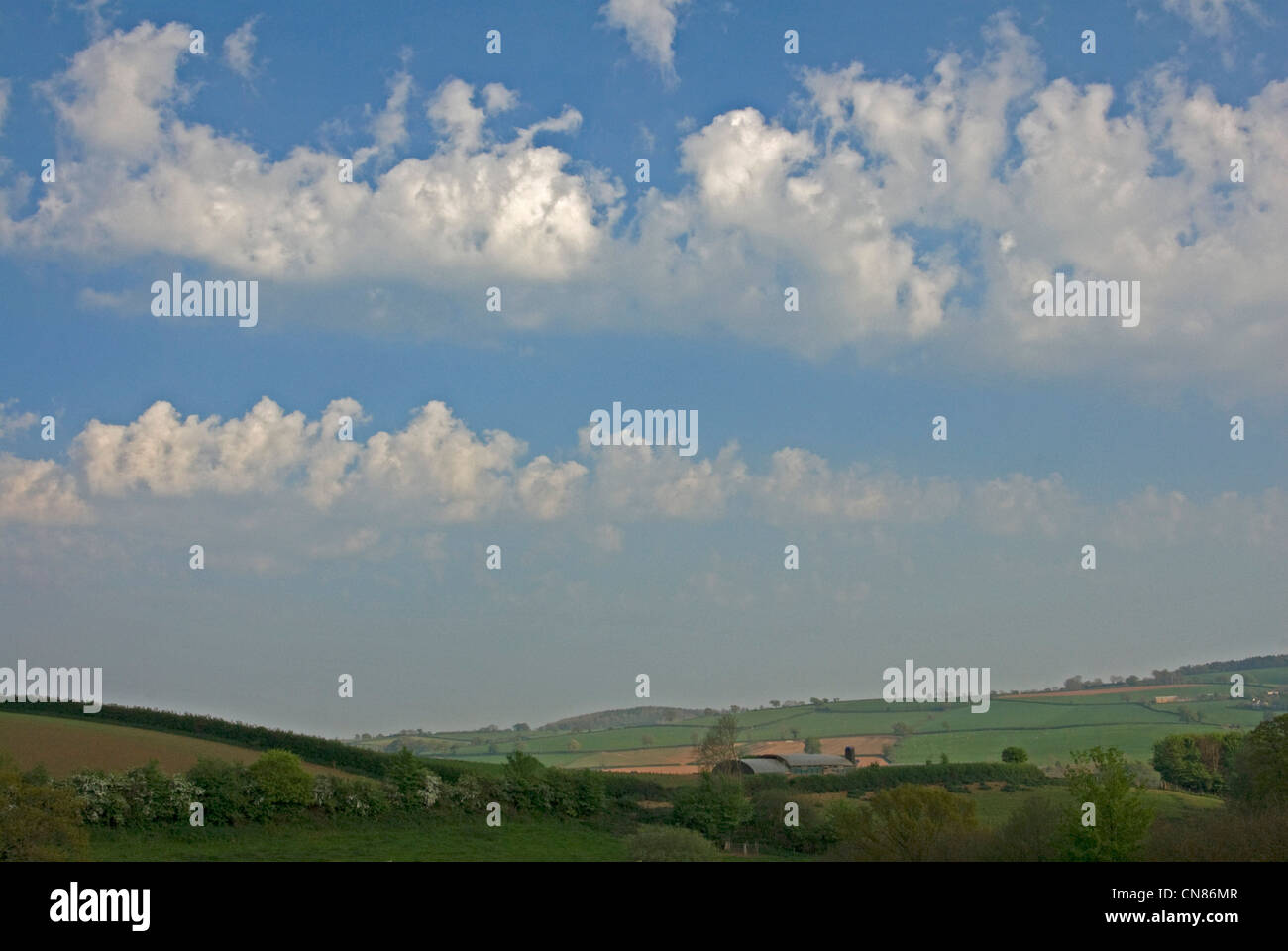 Altocumulus Floccus Sonnenuntergang über Bradninch, Devon Stockfoto