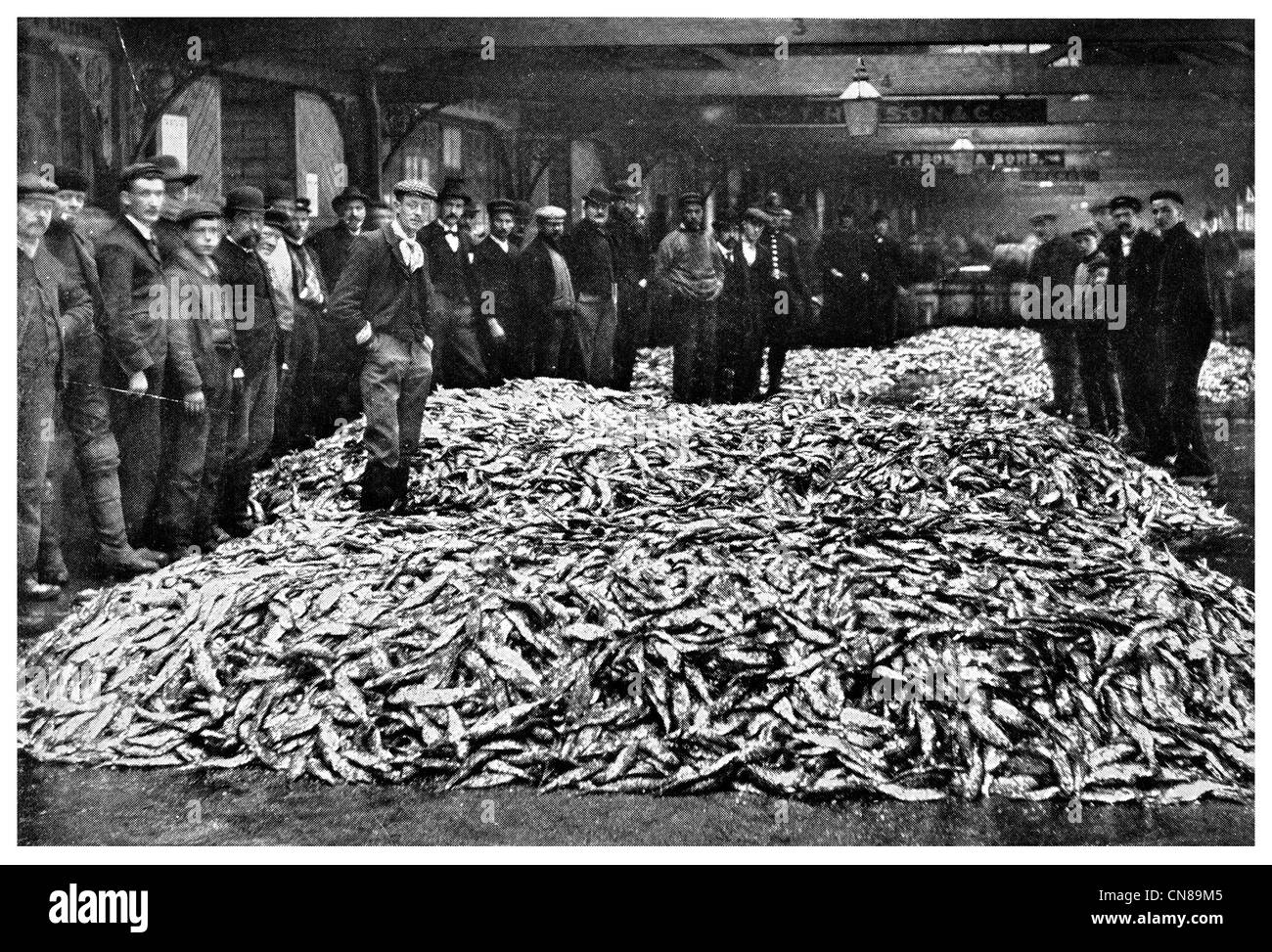 Zuerst veröffentlicht 1915 Hering Auktion in Grimsby England Fisch Markt Handel Stockfoto