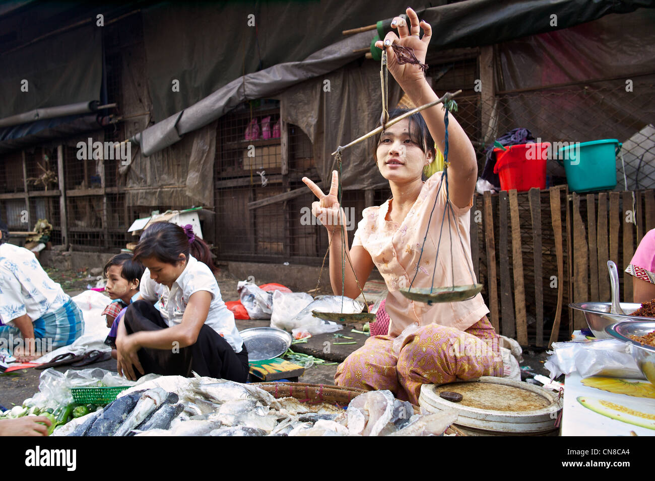 Eine burmesische Frau verkauft frischen Fisch in einem Straßenmarkt auf den Straßen von Rangun (Yangon), Burma (Myanmar) Stockfoto