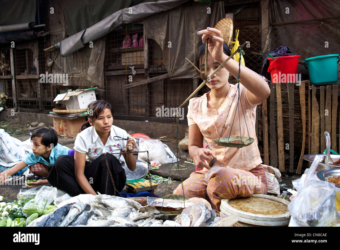 Eine burmesische Frau verkauft frischen Fisch in einem Straßenmarkt auf den Straßen von Rangun (Yangon), Burma (Myanmar) Stockfoto