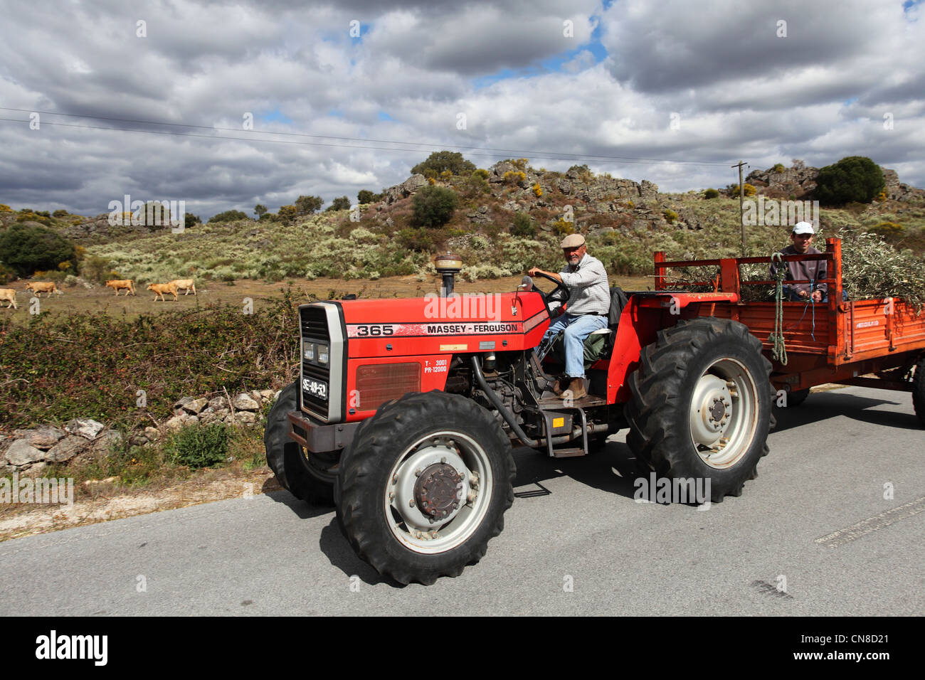 Ein portugiesischer Landwirt fährt einen Traktor auf einer Landstraße in der Nähe von Castelo de Vide, Alentejo, Portugal. Stockfoto