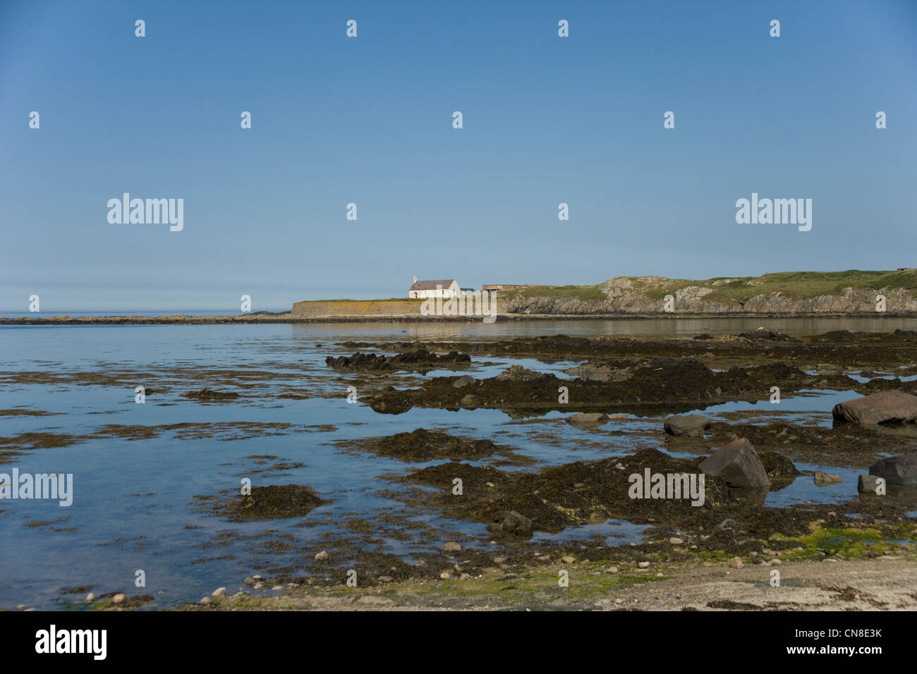 Die Insel Cribinau und dem 13. Jahrhundert Kirche von St Cwyfan bekannt als Kirchlein im Meer in der Nähe von Aberfraw auf Anglesey Stockfoto