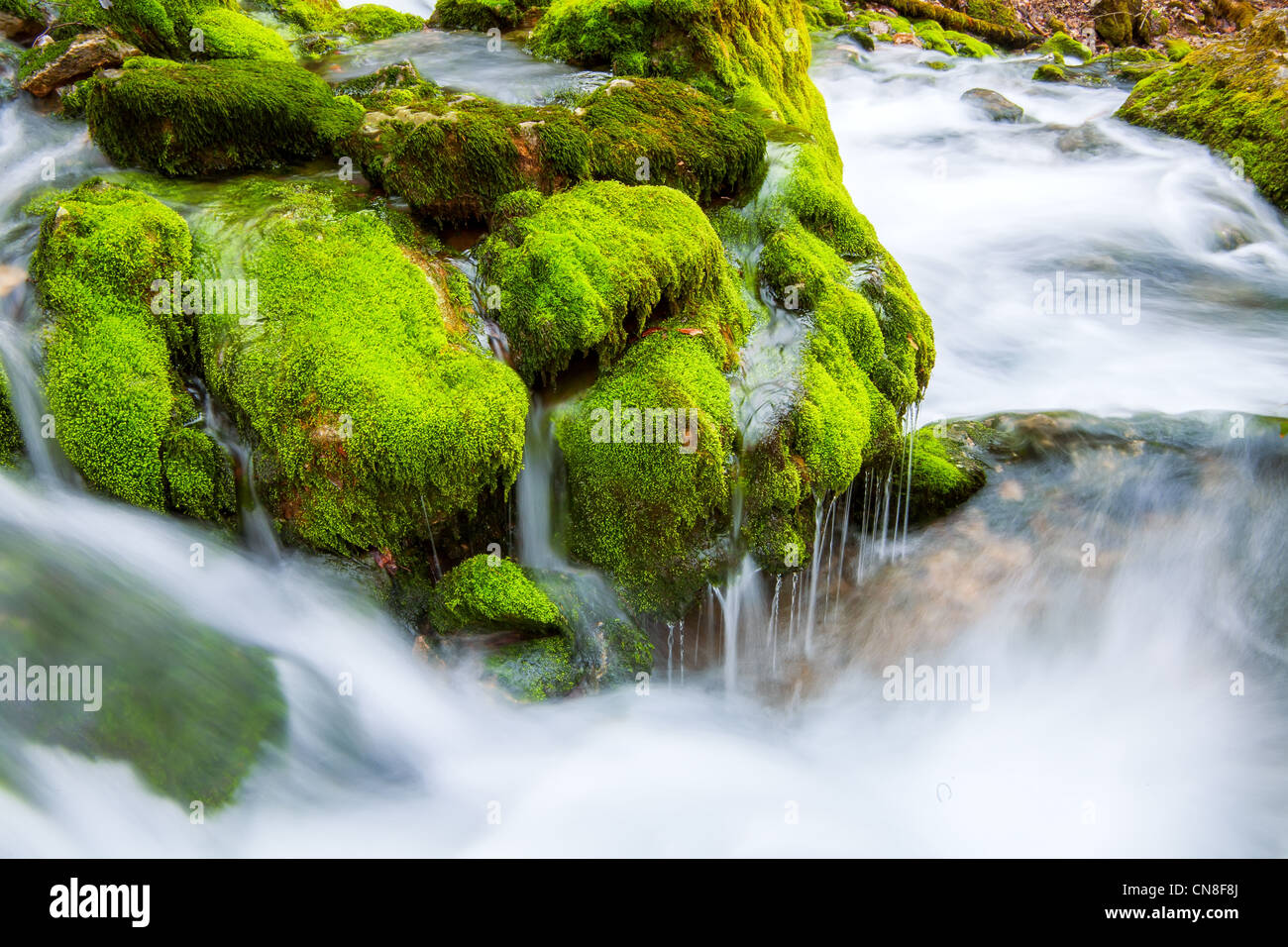 Frühling-Fluss-stream Stockfoto