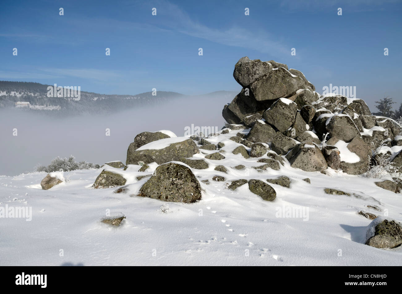 Frankreich, Haut-Rhin, Parc des Ballons des Vosges, Hochtal von Weiss, Orbey, Ortsteil Pre Bracot, Torr De La Chaise Stockfoto