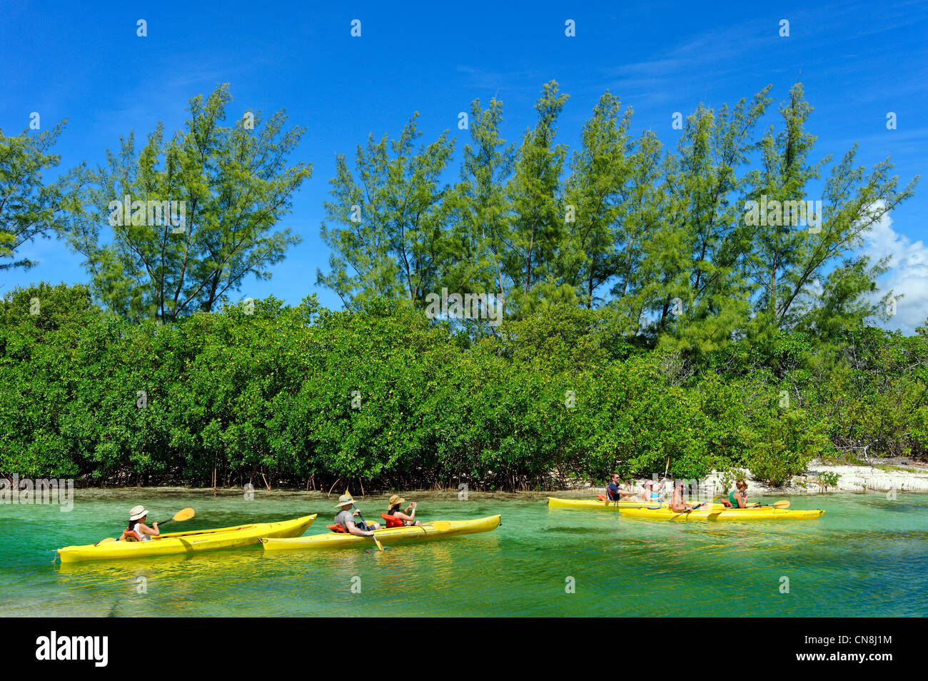 Bahamas, Grand Bahama Island, alte Freetown, Lucayan Nationalpark, Kanu-Kajak-Thread in den Mangroven Gewässern von emerald Stockfoto