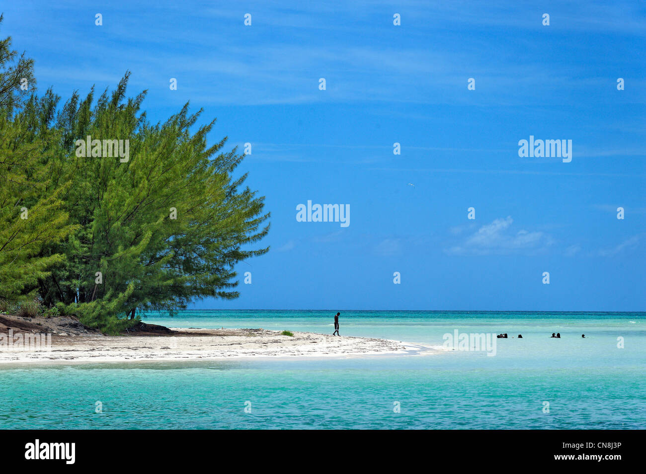 Lightbourne Cay, einer Insel mit weißem Sand, Grand Bahama Island, Bahamas und MacLean Stadt gepflanzt Filaos und umgeben von Türkis Stockfoto