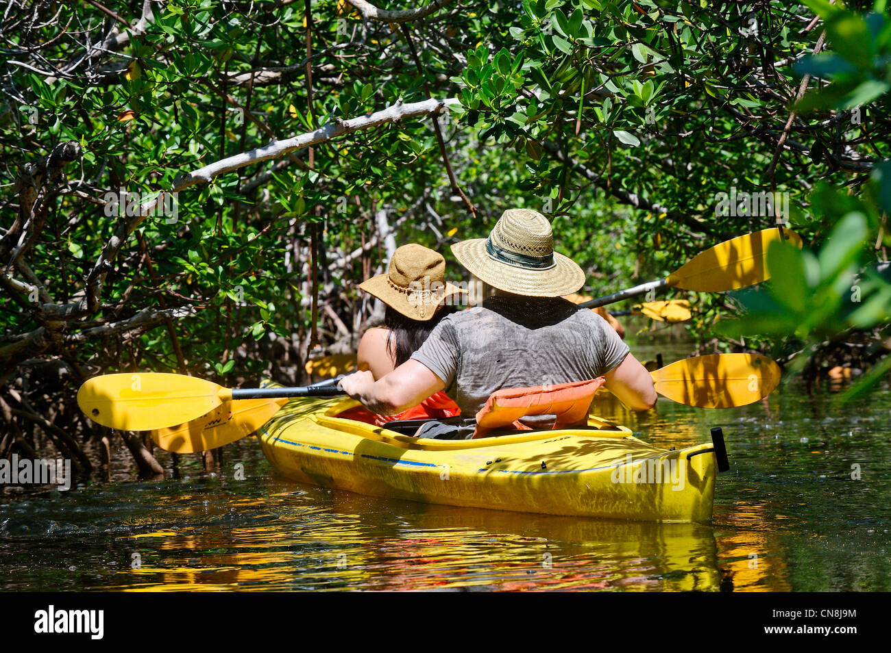 Bahamas, Grand Bahama Island, Freetown, Lucayan Nationalpark, Kanufahren in einen Mangrovenwald Stockfoto