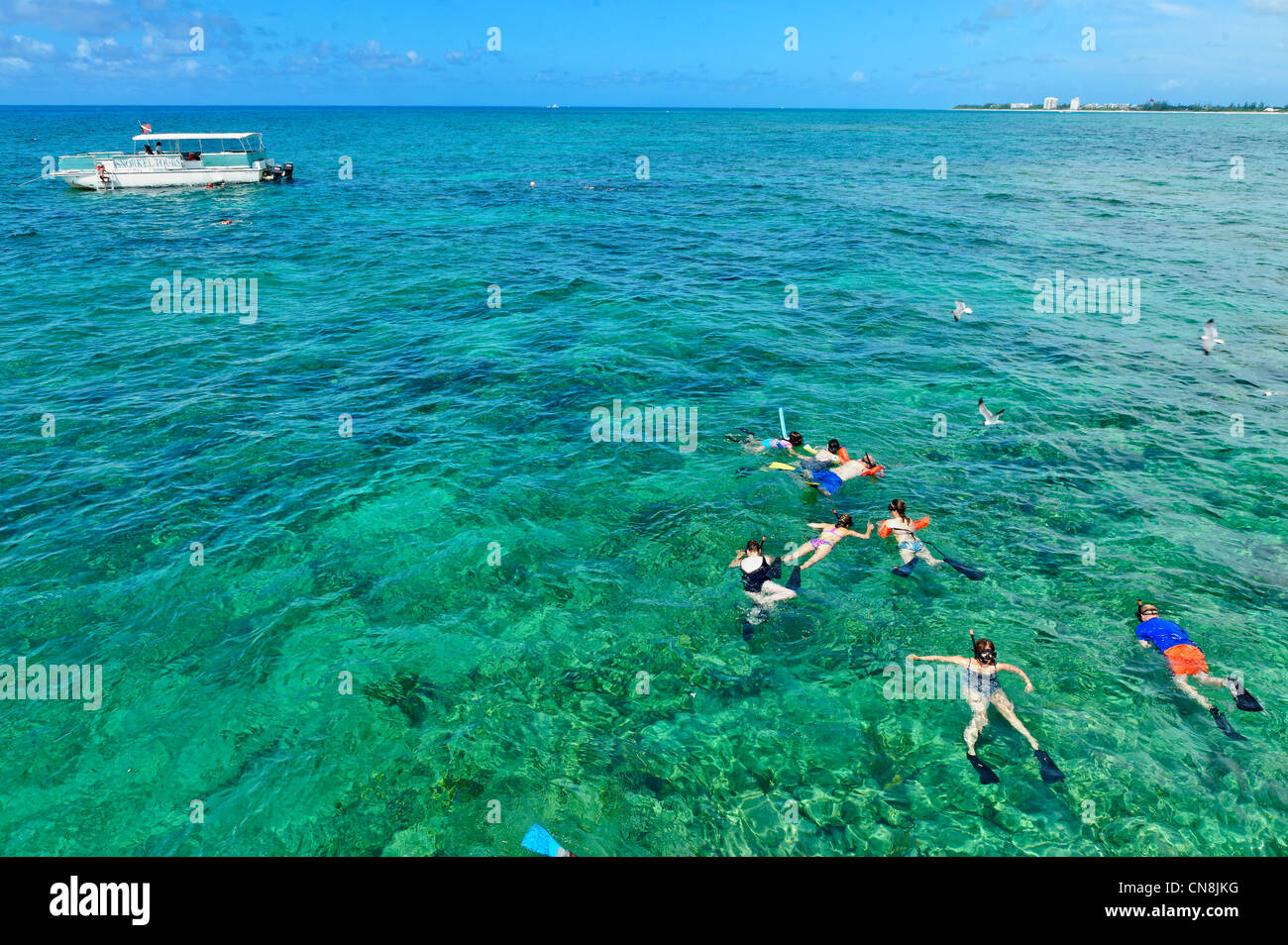 Bahamas, Grand Bahama Island, Freeport, Tauchen und Schnorcheln vor der Küste Port Lucaya in klarem Wasser Stockfoto