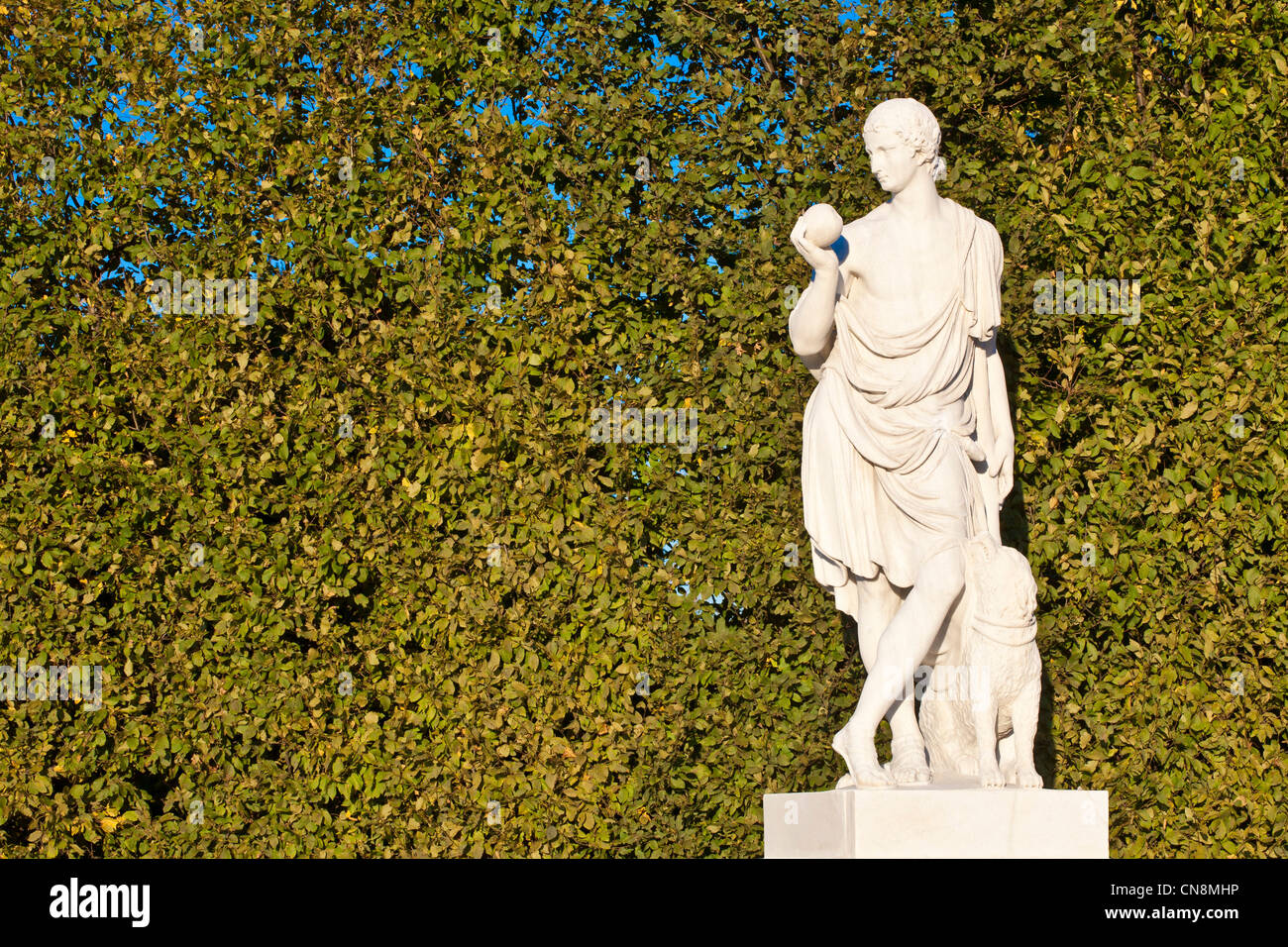 Österreich, Wien, Altstadt Weltkulturerbe der UNESCO, Schönbrunn Schloss, erbaut zwischen 1696 bis 1699 von Johann Stockfoto