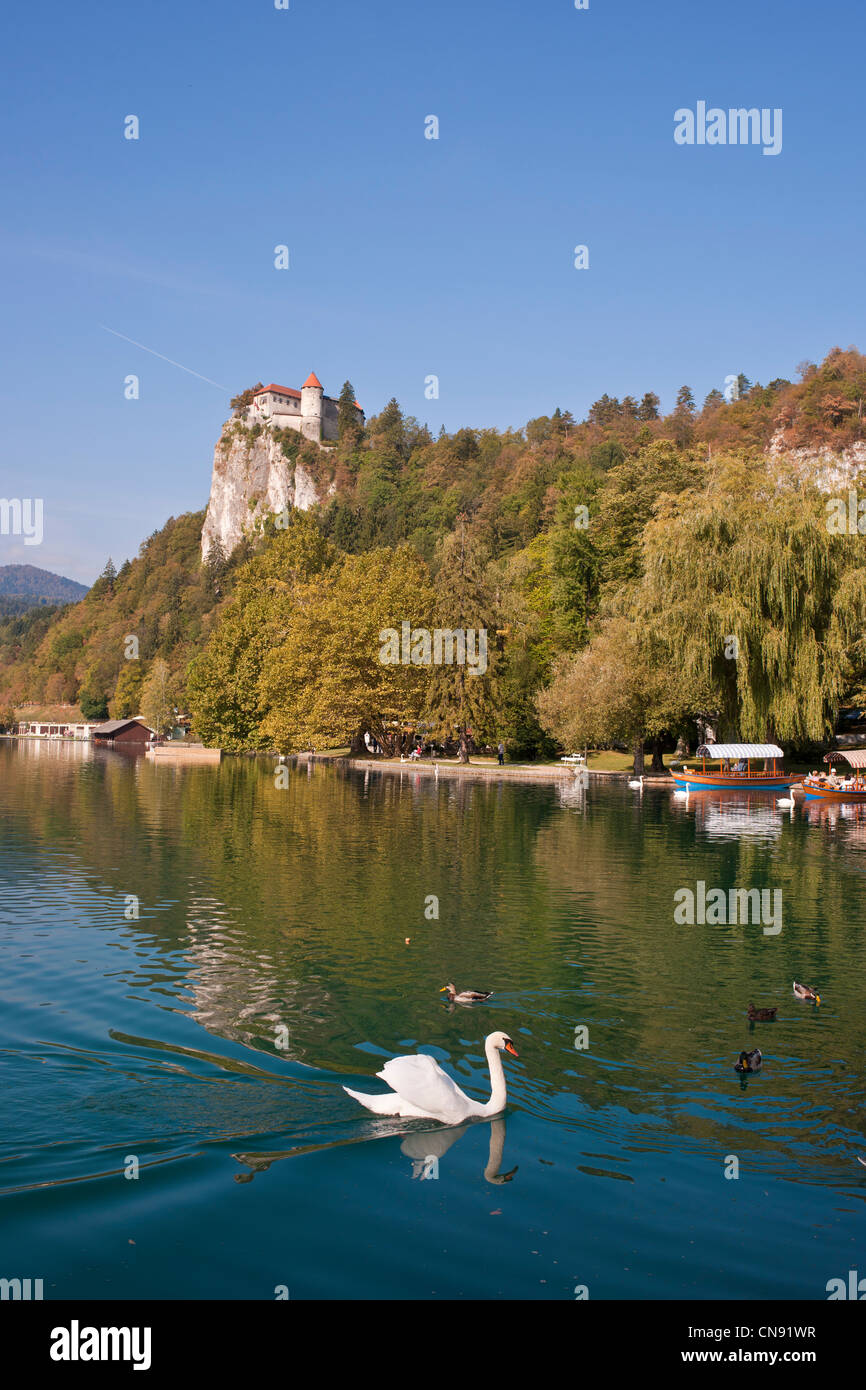 Slowenien, Region Gorenjska, Bled, das Schlossmuseum Stockfoto
