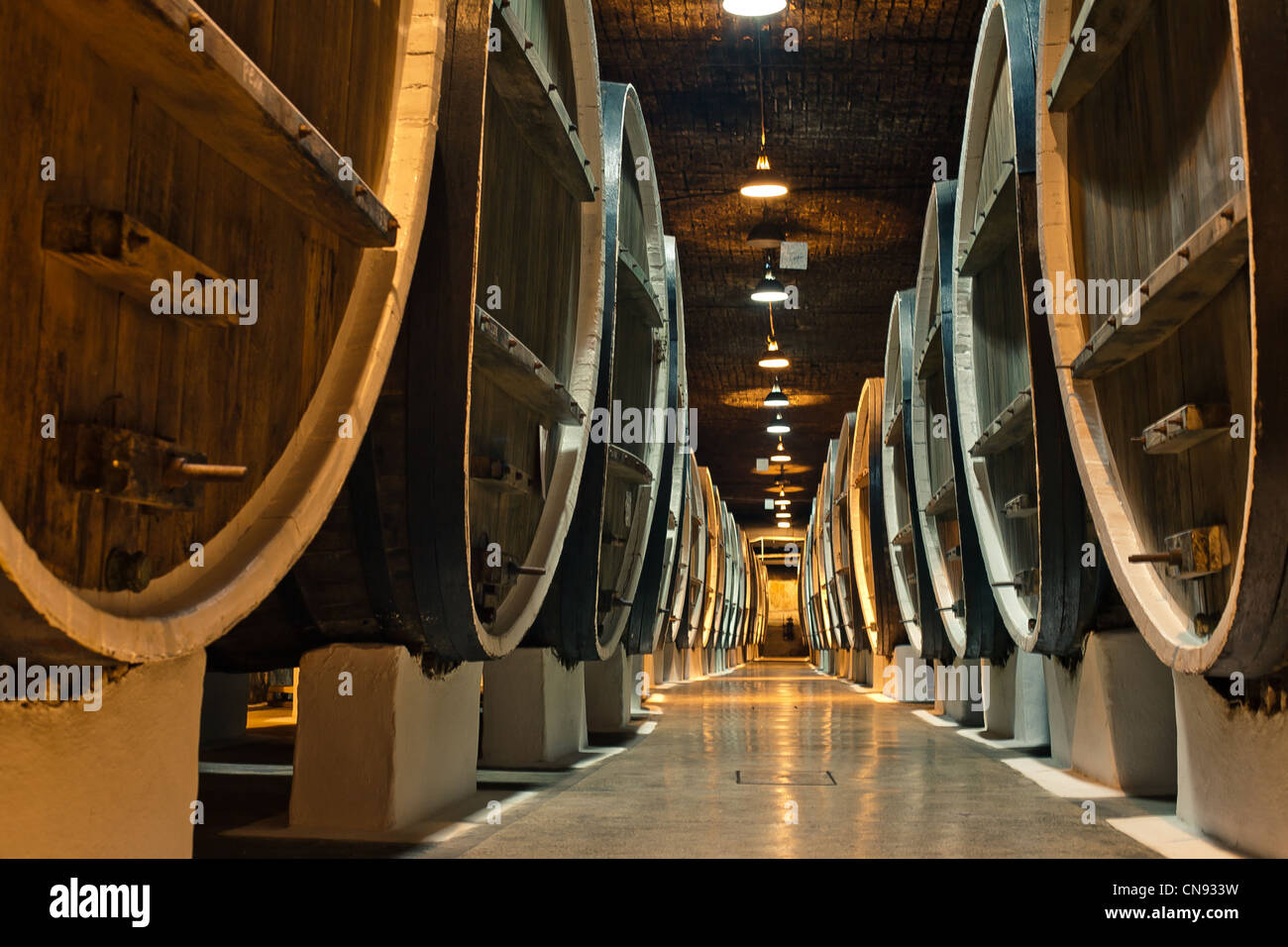 Weinfässer in den Kellern der Winzer Stockfoto
