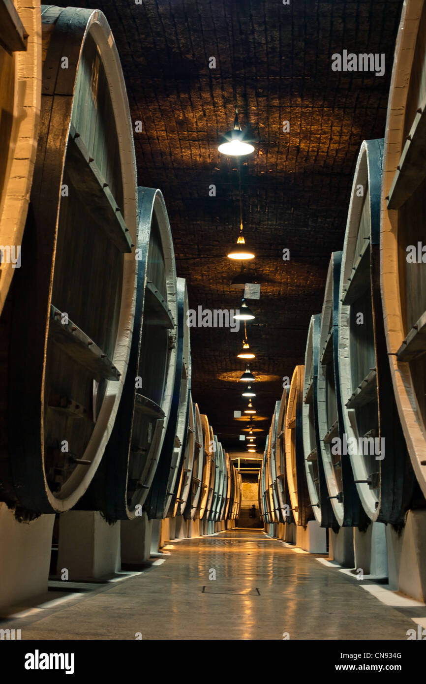 Weinfässer in den Kellern der Winzer Stockfoto