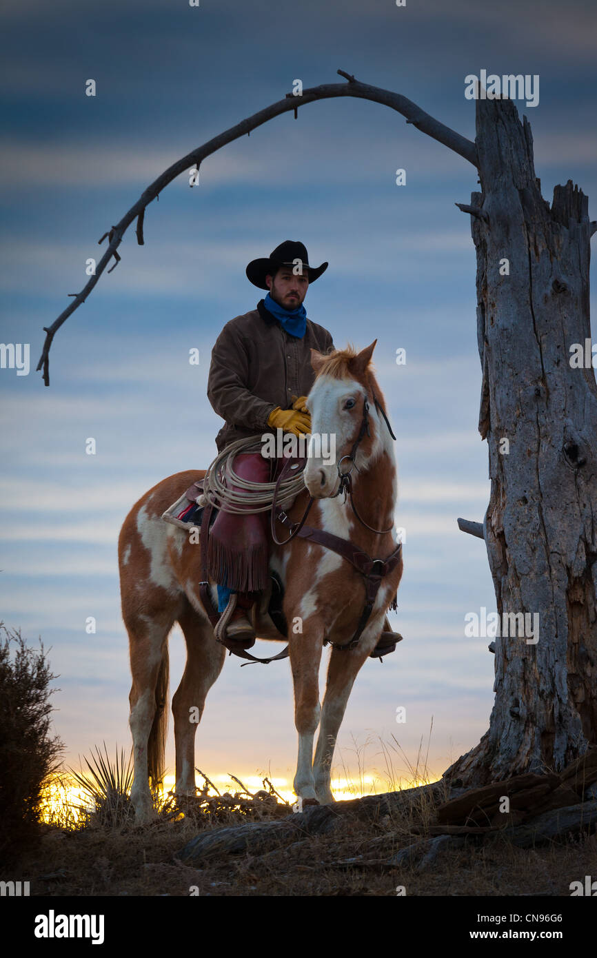 Cowboy und sein Pferd bei Sonnenaufgang auf einer Ranch im nordöstlichen Wyoming Stockfoto