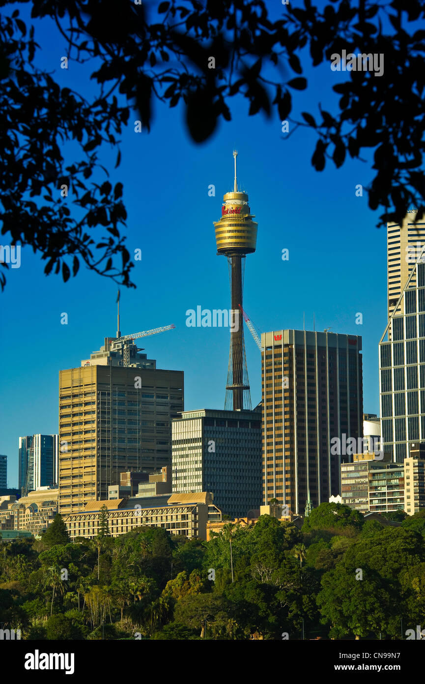 Australien, New South Wales, Sydney, City center mit der AMP Tower, dem höchsten Turm der südlichen Hemisphäre (305m) abgeschlossen Stockfoto