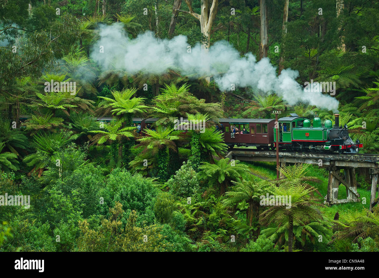 Australien, Victoria, Belgrave, die berühmten Puffing Billy, ein Dampfzug, überqueren die Dandenongs reicht Stockfoto