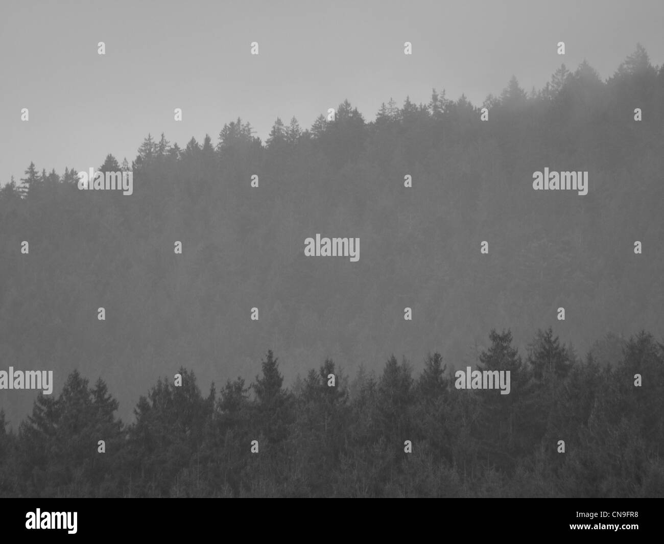 Blick auf die Berge mit Morgennebel, Bayerischer Wald, Deutschland / Bergpanorama Mit Morgennebel, Bayerischer Wald, Deutschland Stockfoto