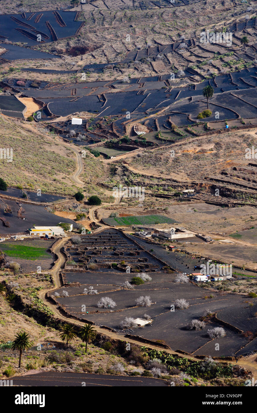 Lanzarote, Kanarische Inseln - Boden Lavafelder südlich von Haria. Stockfoto