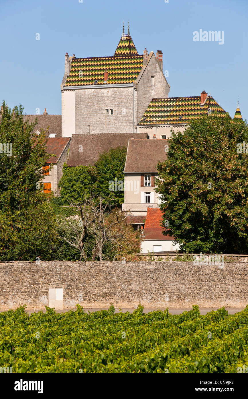 Frankreich, Cote d ' or, Route des Grands Crus, Meursault, im Herzen der weißen Wein Weinberg Stockfoto