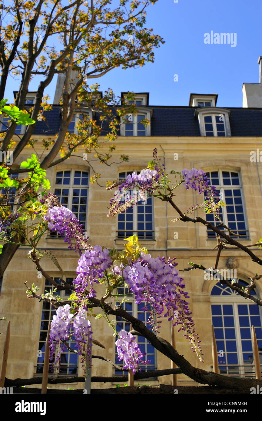 Frankreich, Paris, Gebäude, angrenzend an das Maison Europeenne De La Photographi Stockfoto