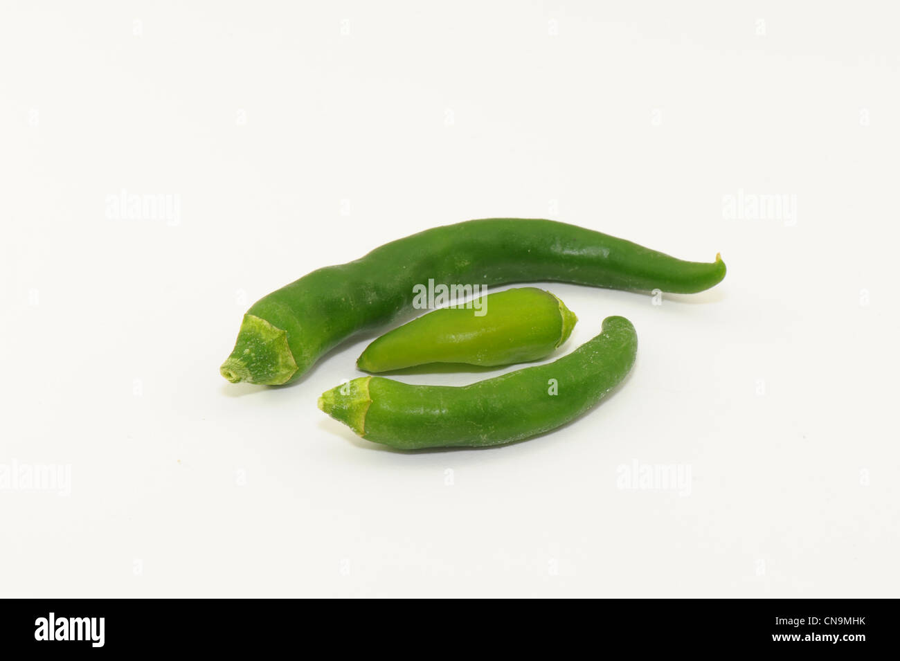 grüne Chilischoten genommen auf weißem Hintergrund Stockfoto