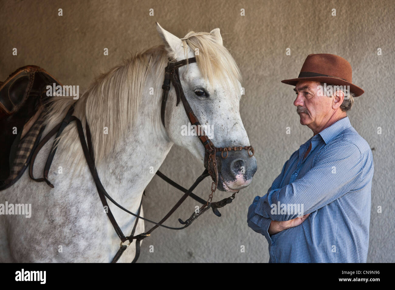 Frankreich, Bouches du Rhone, Sambuc, Guardian und Camargue Pferd weiße Herde Stockfoto