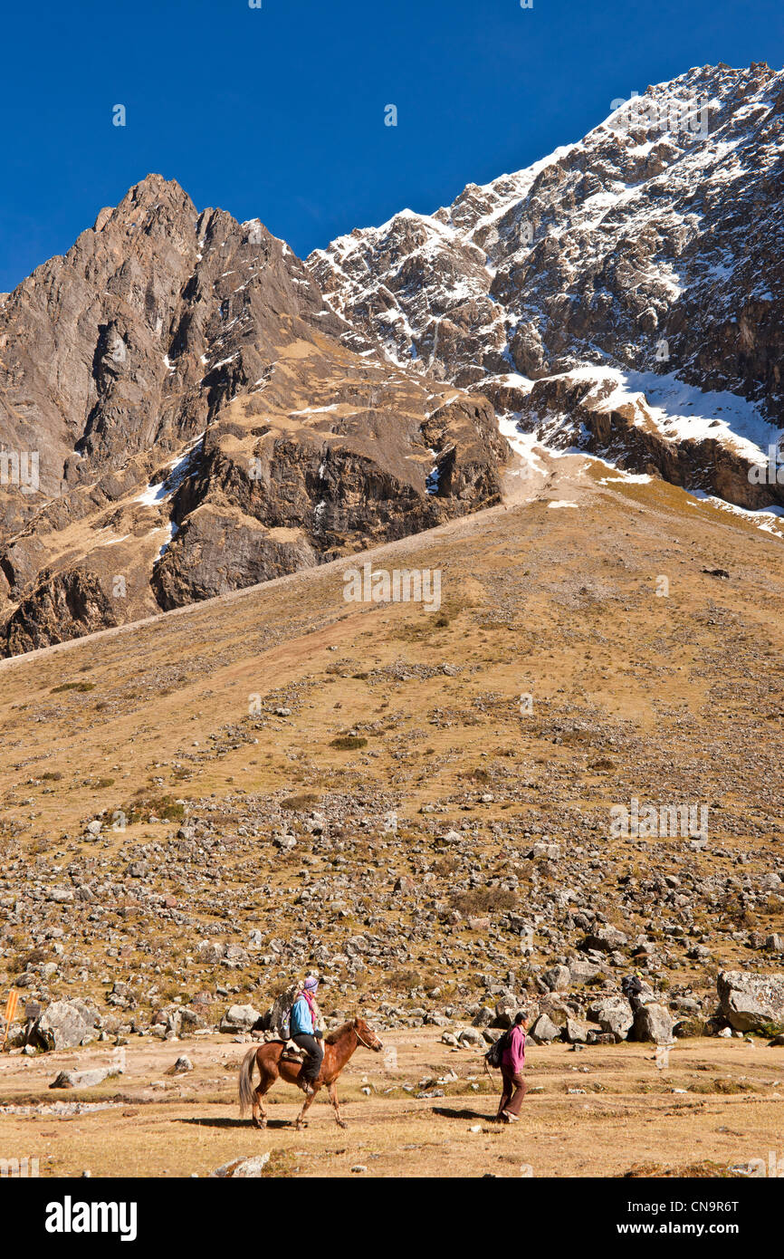 Peru, Cuzco Provinz Cordillera Vilcanota, Wanderung mit dem Maultier am Fuße des Salkantay (6371m) Stockfoto