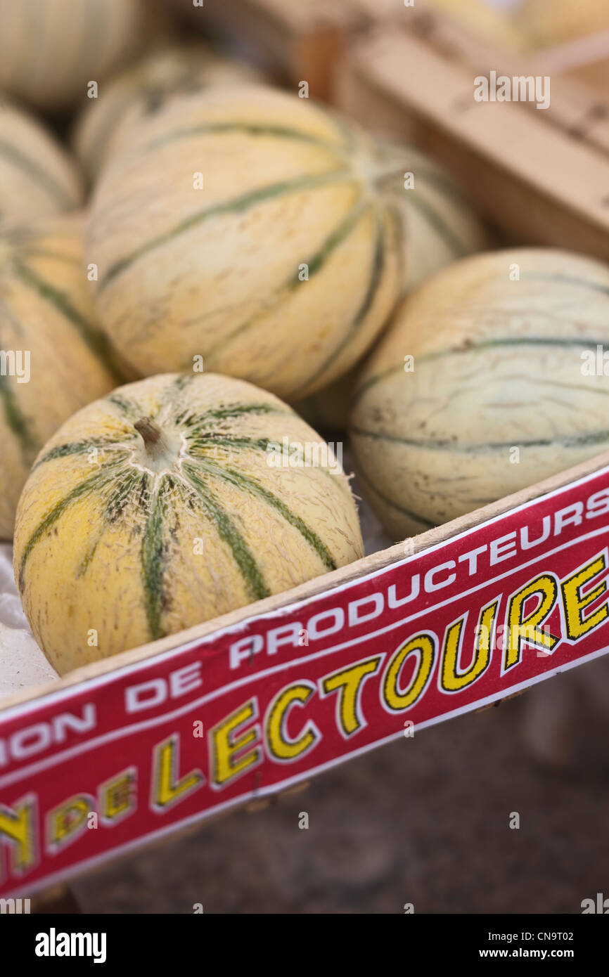 Frankreich, stall Gers, Auch, Lectoure Melonen auf dem Markt Platz der Befreiung Stockfoto