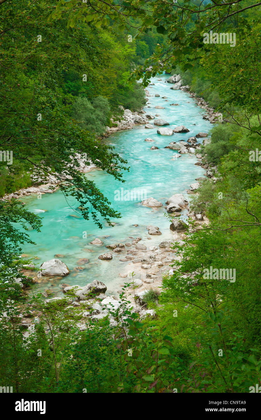 Wunderschöne Türkis Bergfluss im grünen Wald-Frame. Soca (Isonzo), Julischen Alpen, Slowenien. Beliebtes touristisches Ausflugsziel. Stockfoto