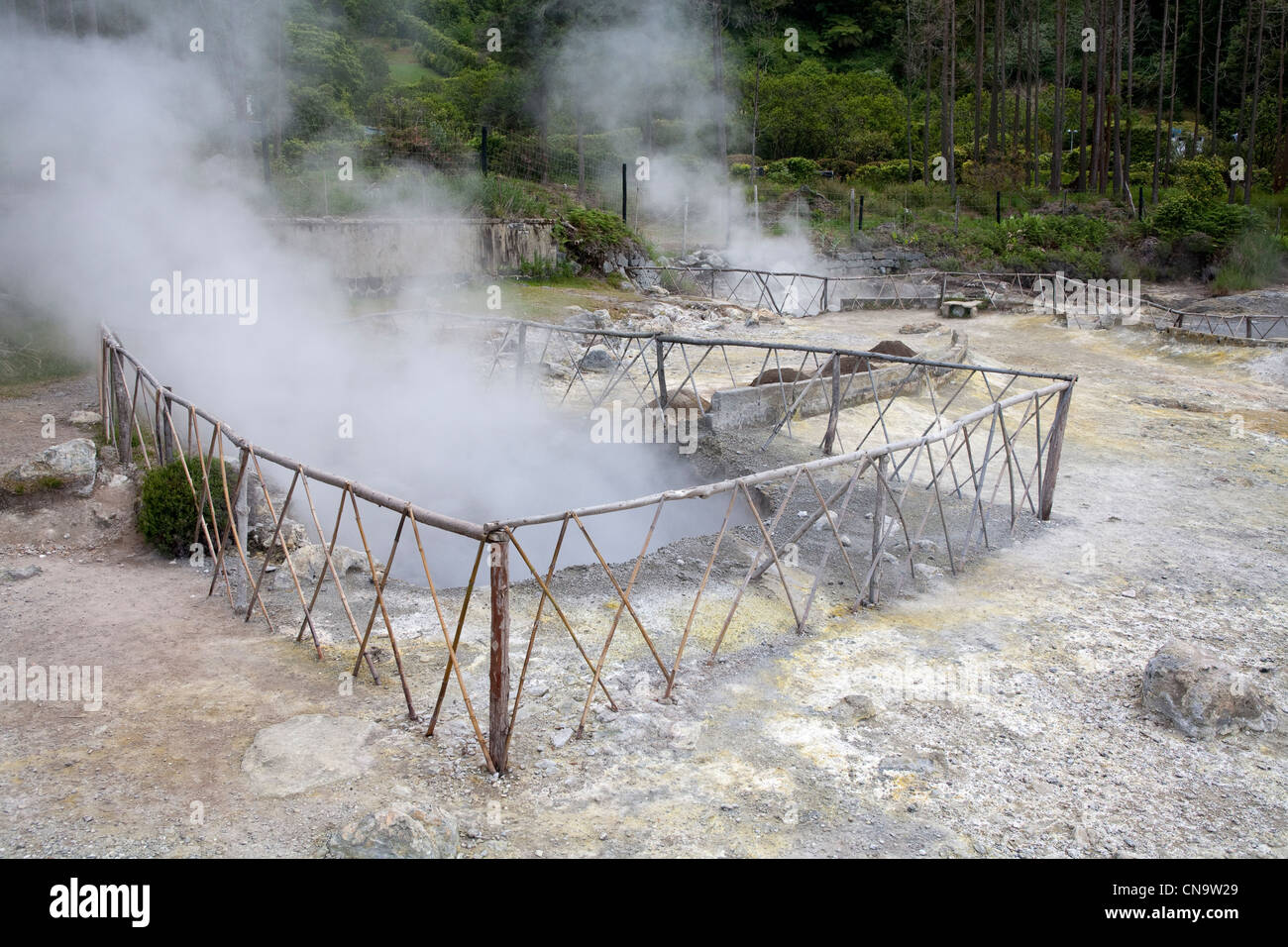 Portugal, Azoren, Insel Sao Miguel, Furnas-See, geothermische Aktivität, fumarole Stockfoto