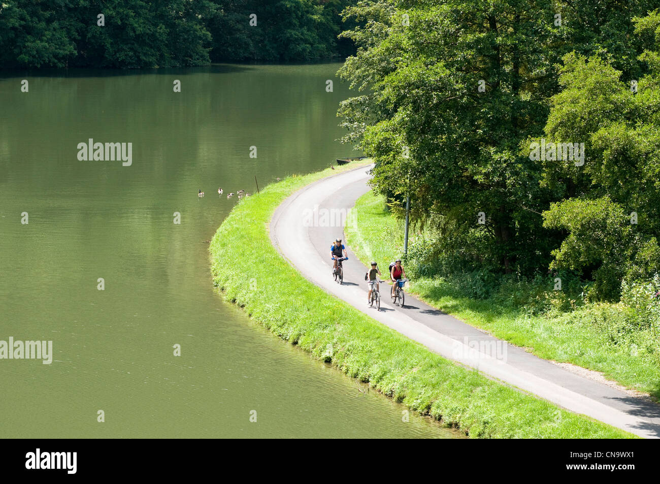 Frankreich, Ardennen, Radfahrer auf dem grünen Weg führt entlang der Maas von Charleville Mezieres zu Givet Stockfoto