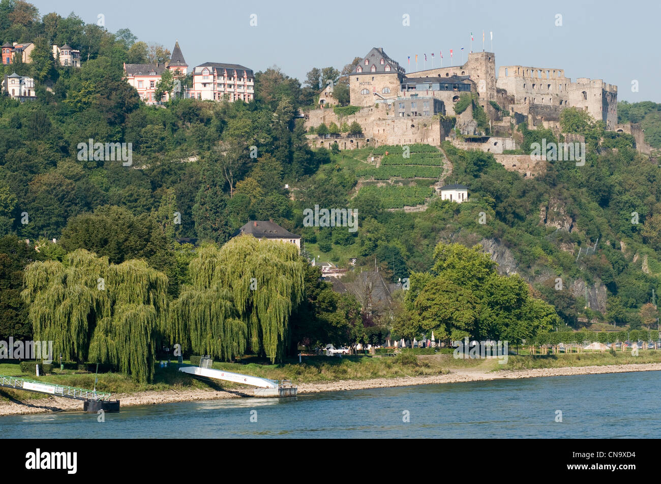 Deutschland, Rheinland-Pfalz, Burg Rheinfels, die romantische, die Rhein von der UNESCO als Weltkulturerbe Stockfoto
