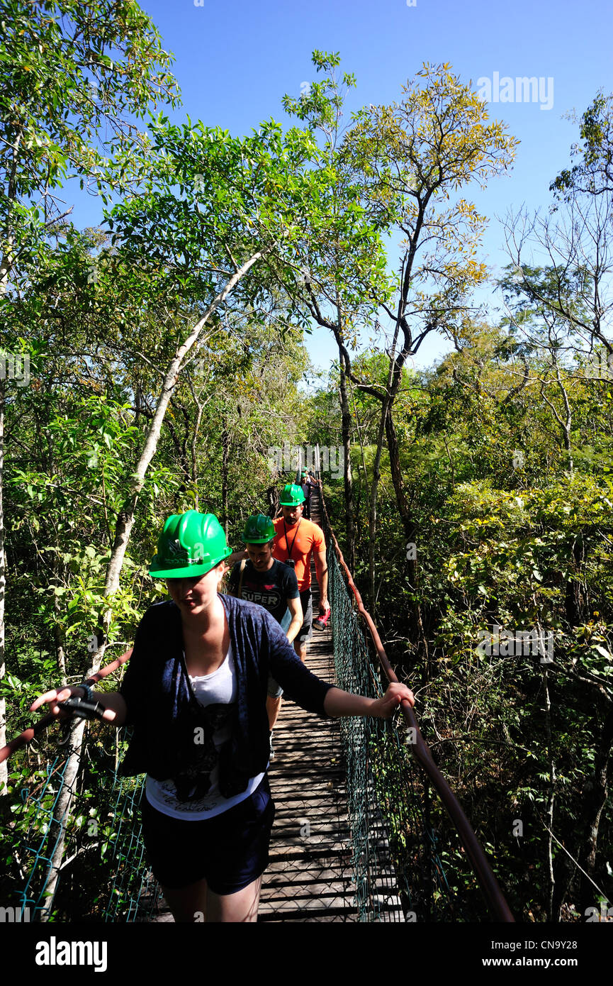 Brasilien, Mato Grosso do Sul Zustand, Bonito, trekking in der canopea Stockfoto