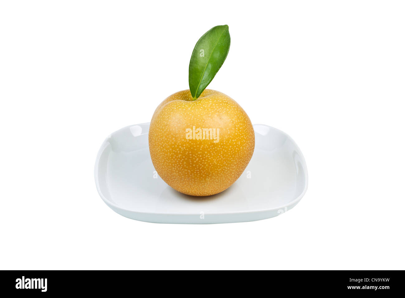 Einzigen großen Apfel Birne in weißer Teller auf weißem Hintergrund Stockfoto