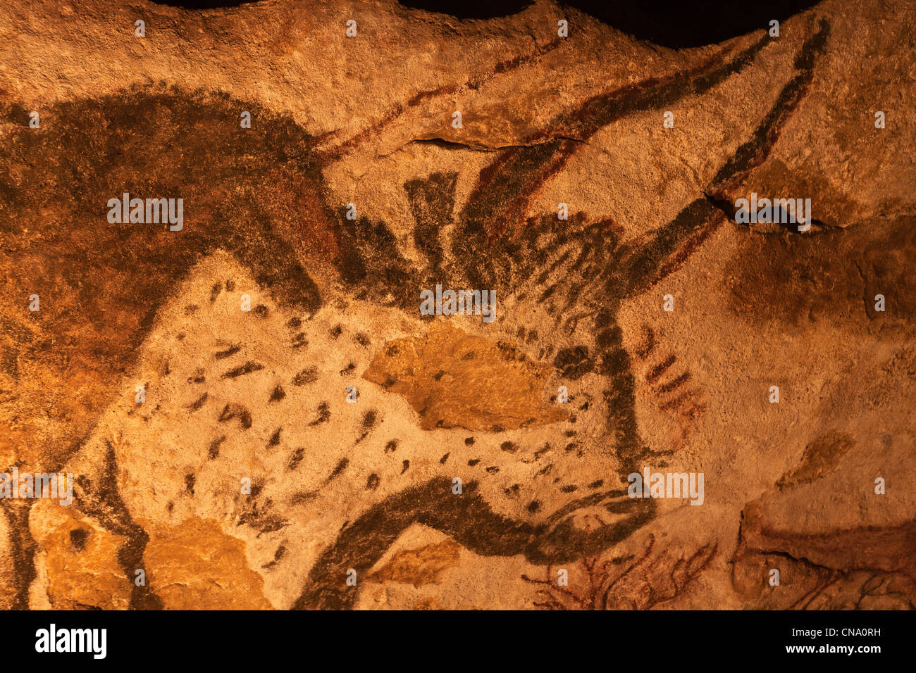 Frankreich, Dordogne, Périgord, Montignac Lascaux II, dekoriert mit paläolithischen Höhlen, Taurus Stockfoto