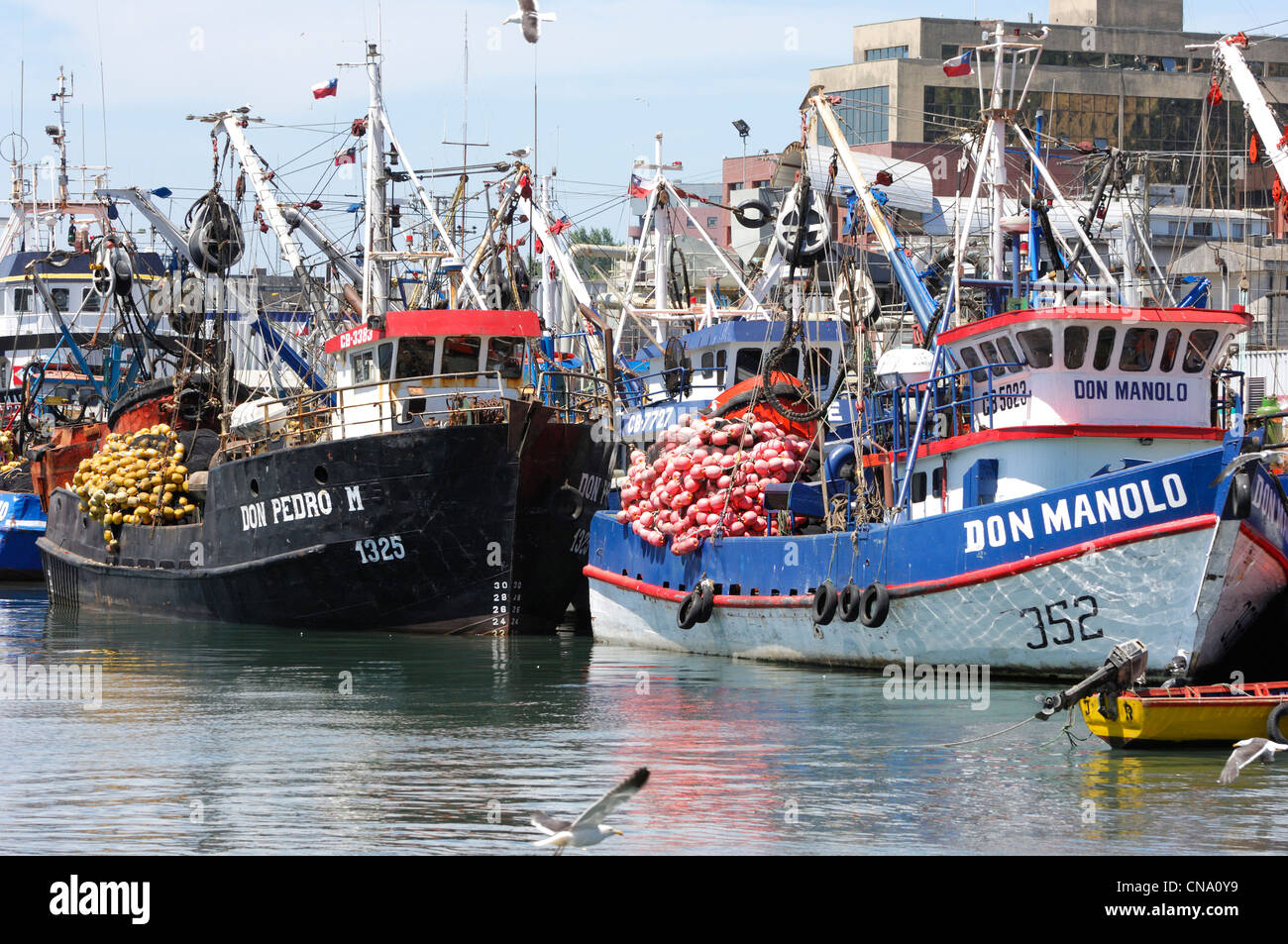 Chile, Biobio Region Concepcion, Hafen, Angelboote/Fischerboote in den Hafen von Concepcion Stockfoto