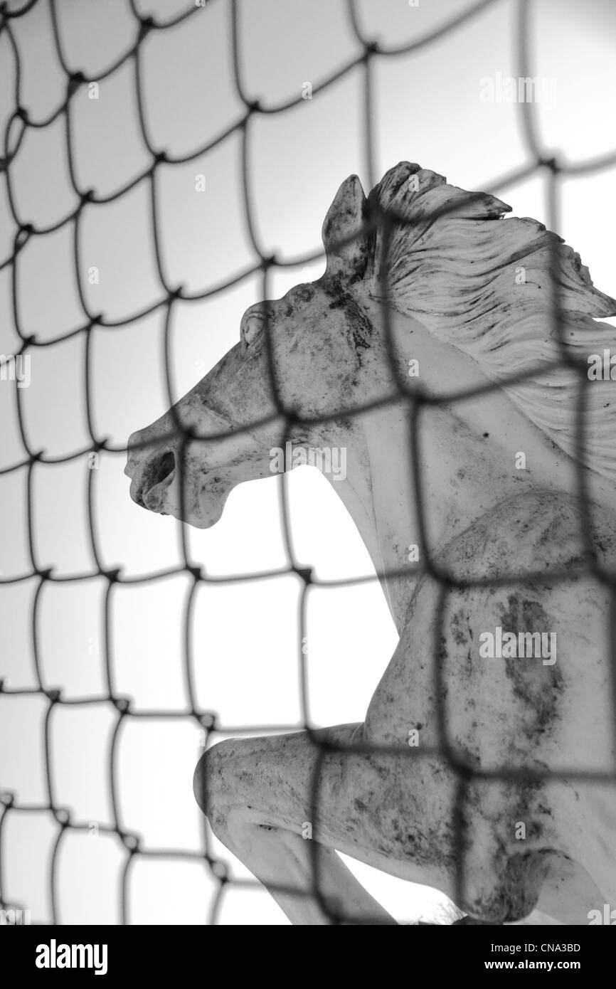 Gartenornament Statue Skulptur eine grassierende Pferd Contre Jour hinter einer Kette Link Ketteverbindung verknüpften Zaun silhouette Stockfoto
