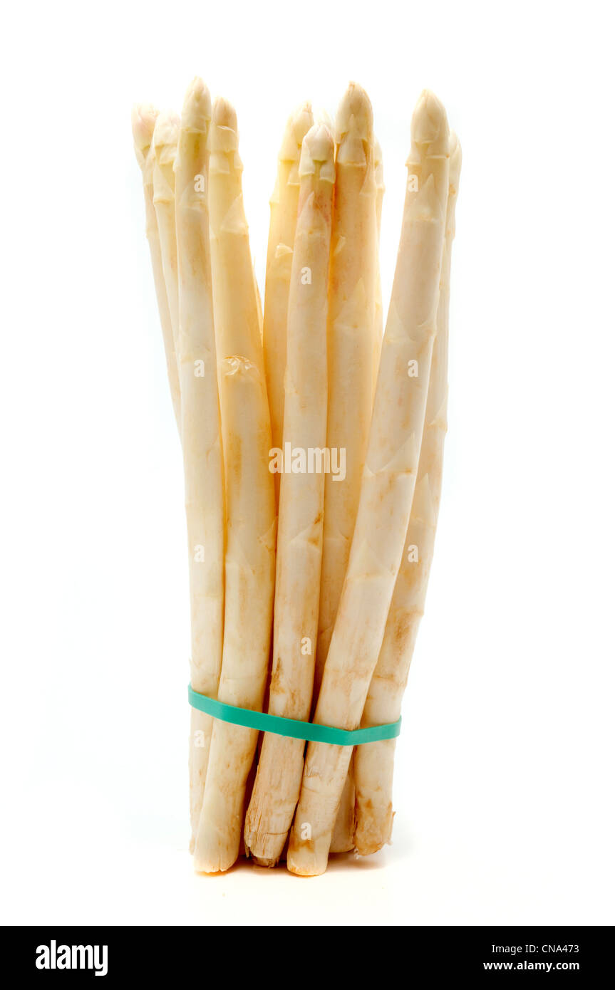 Weißer Spargel auf weißem Hintergrund Stockfoto