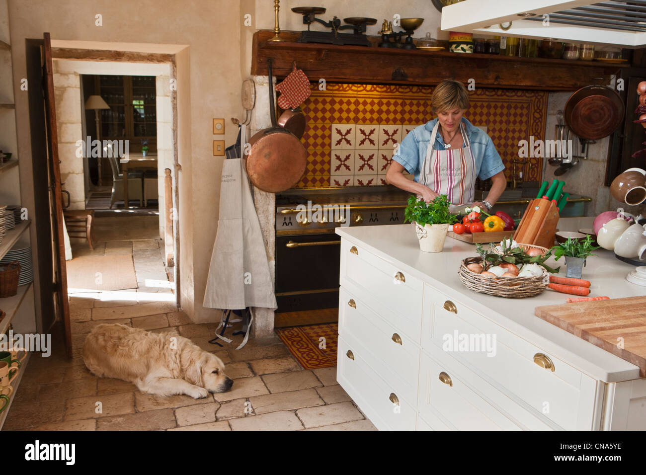 Frankreich, Lot, Cuzance, Malagorse Manor, Bed and Breakfast, bereitet Congratel Anna Esstisch von seinem Gast Stockfoto