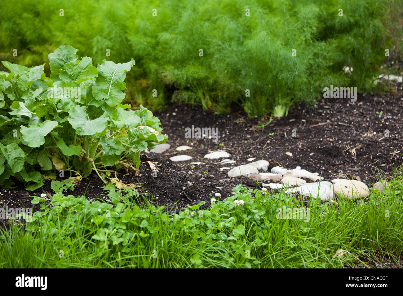 Permakultur Garten Stockfotos und bilder Kaufen Alamy