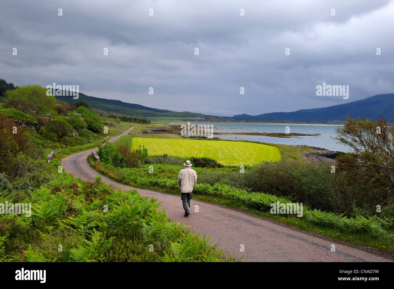Großbritannien, Schottland, Highland, Inneren Hebriden, Isle of Mull, Loch Na Keal Stockfoto