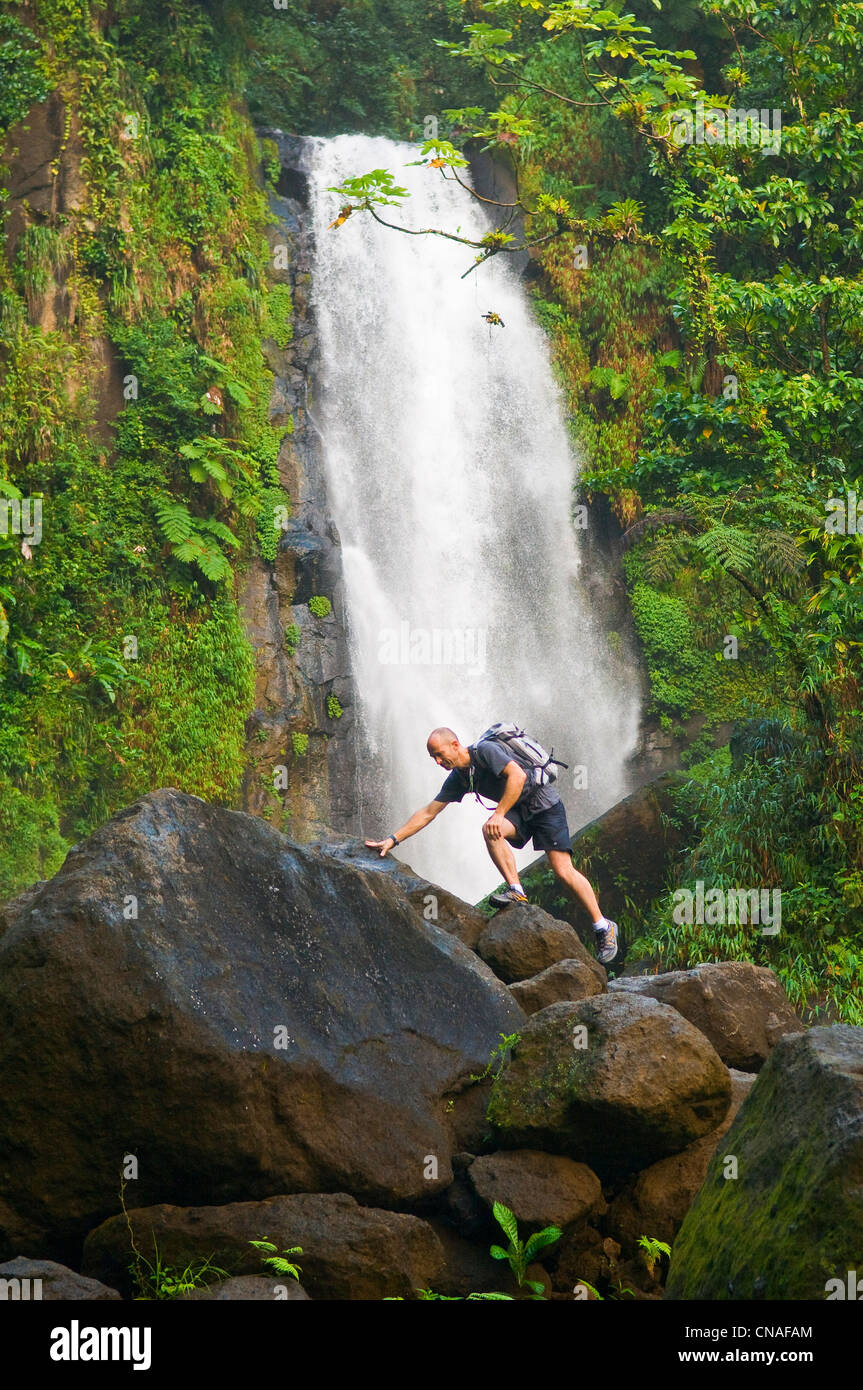 Dominica, Trafalgar Wasserfälle, die Hauptattraktion der Insel Stockfoto