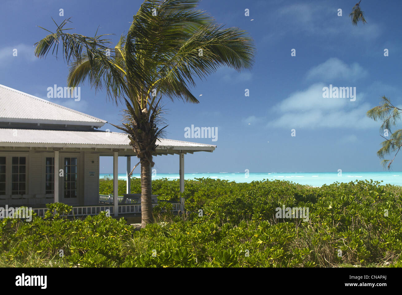 USA, Hawaii, Midway-Atoll, Sandinsel Stockfoto