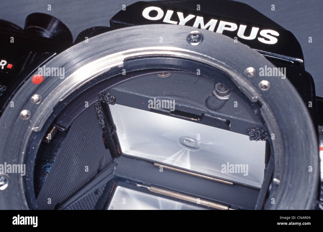 Olympus OM-1 Stockfoto