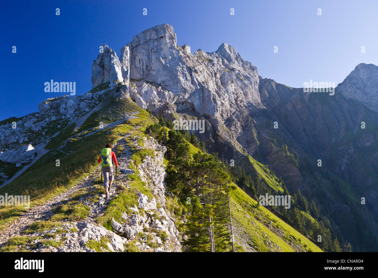 Frankreich, Haute Savoie, Massif des Bornes, Thones, La gelohnt Weg von der Col des Fretes du Rosairy mit Blick von der Stockfoto
