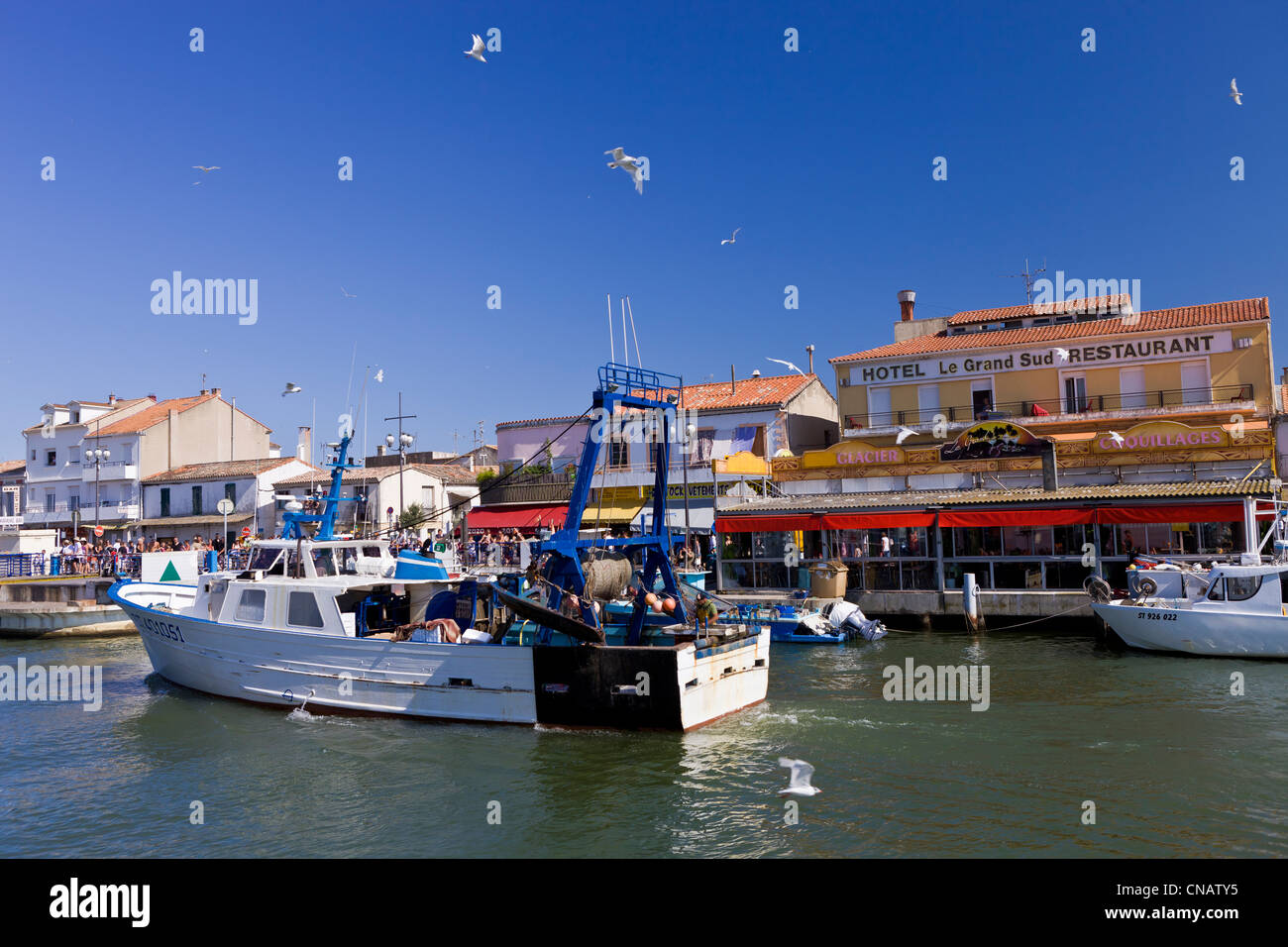 Frankreich, Gard, Camargue Bereich Hafenstadt Le Grau du Roi, Rückkehr der Fischerei Stockfoto