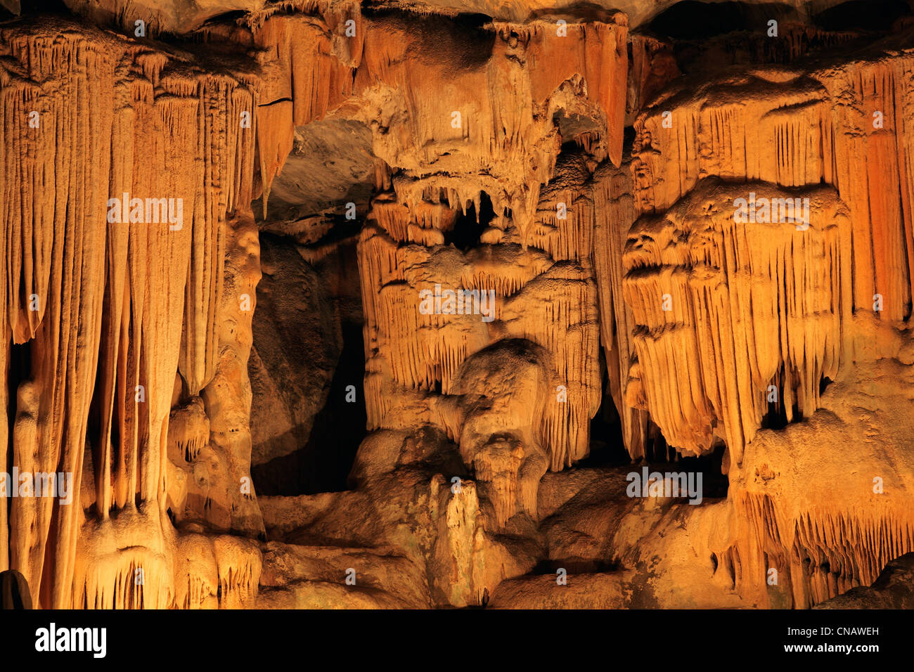 Kalkstein-Formationen in der Hauptkammer der Cango caves, Südafrika Stockfoto