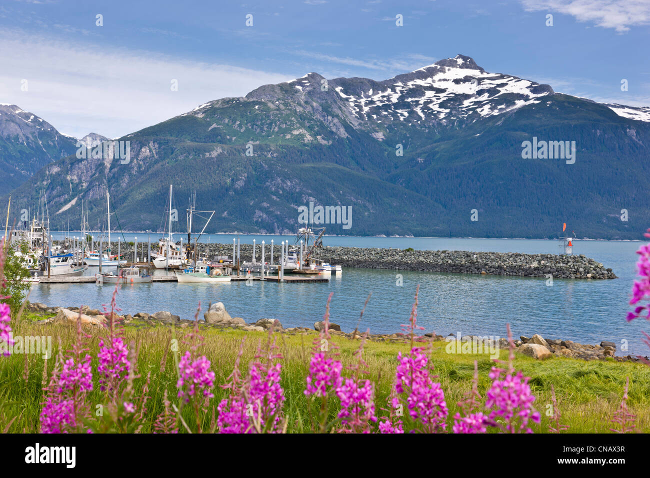 Malerische Aussicht auf die Haines Bootshafen mit Mt. Ripinski im Hintergrund, Haines, Alaska Southeast, Sommer Stockfoto