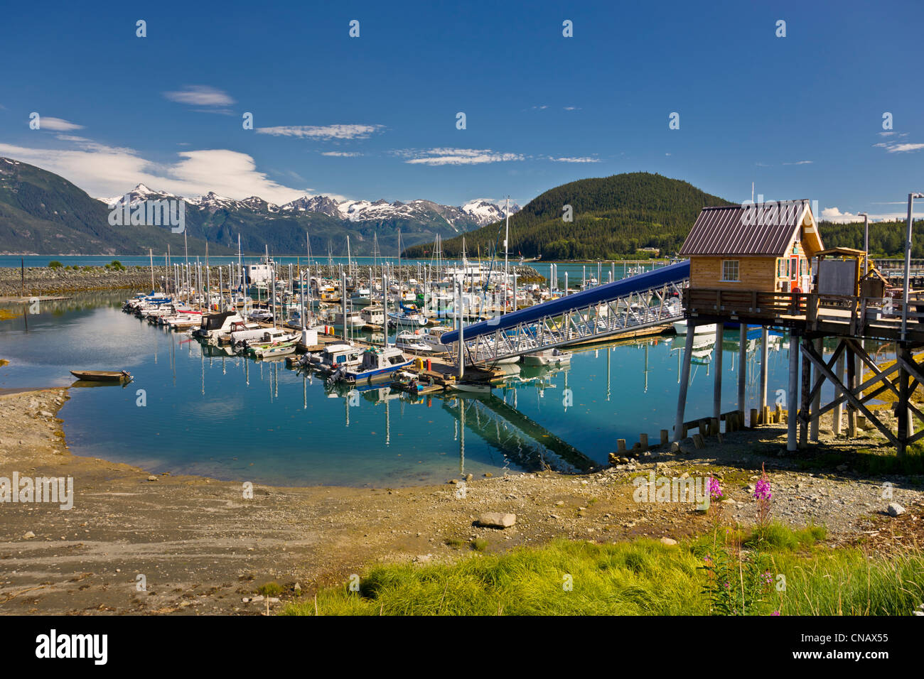 Haines Bootshafen mit den Coast Mountains im Hintergrund, Haines, Alaska Southeast, Sommer Stockfoto