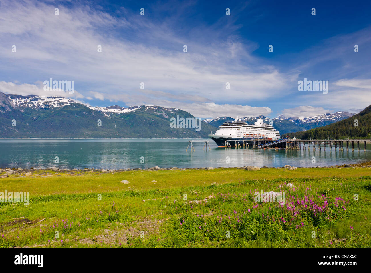 Kreuzfahrt Schiff angedockt an Haines Hafen im Südosten Portage Cove, Haines, Alaska, Sommer Stockfoto
